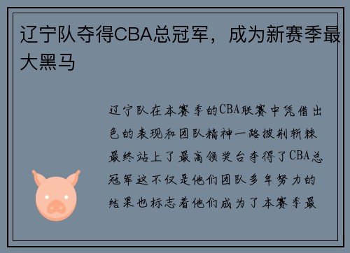 辽宁队夺得CBA总冠军,成为新赛季最大黑马